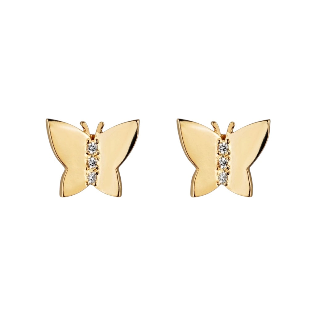 Aro mariposa