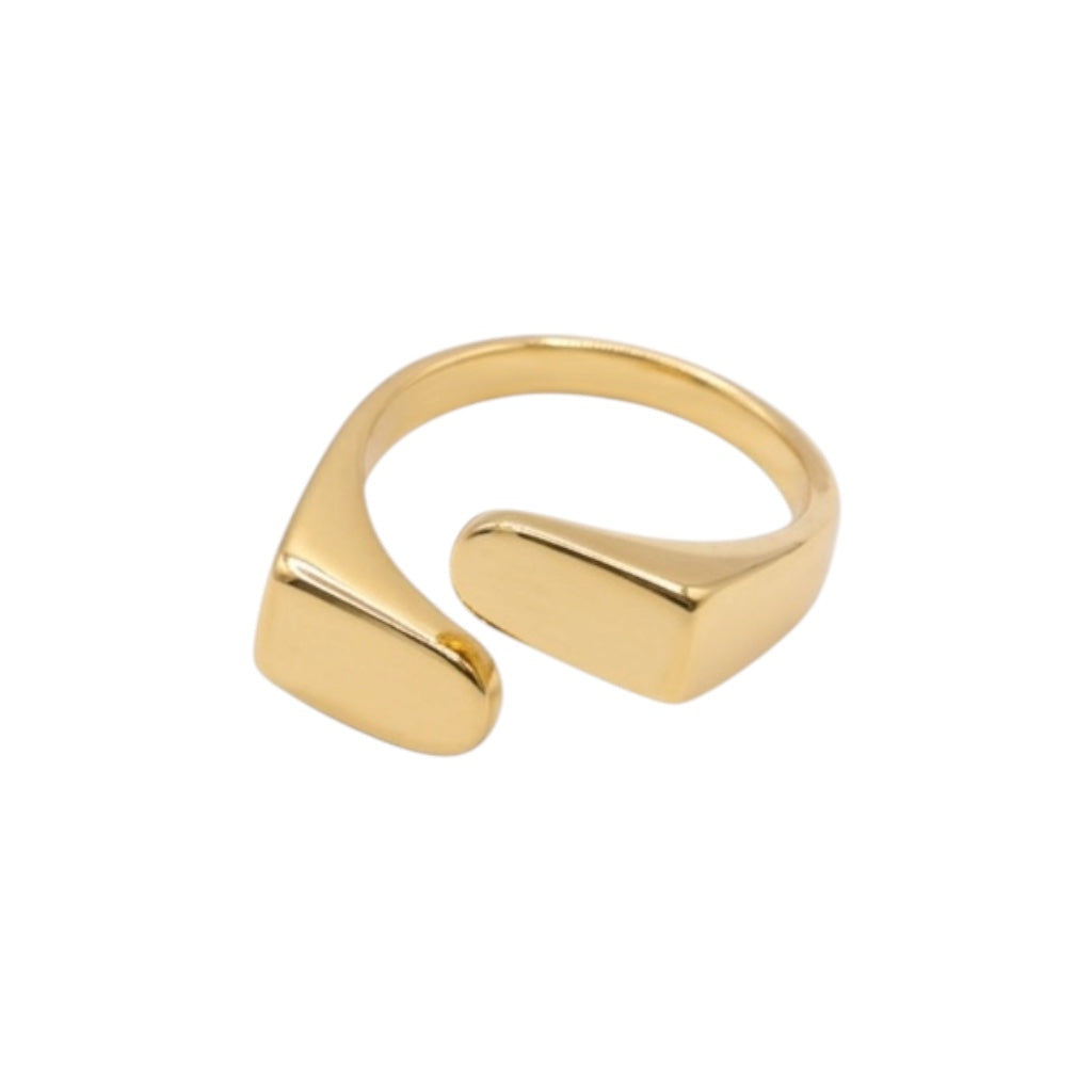 Anillo Río