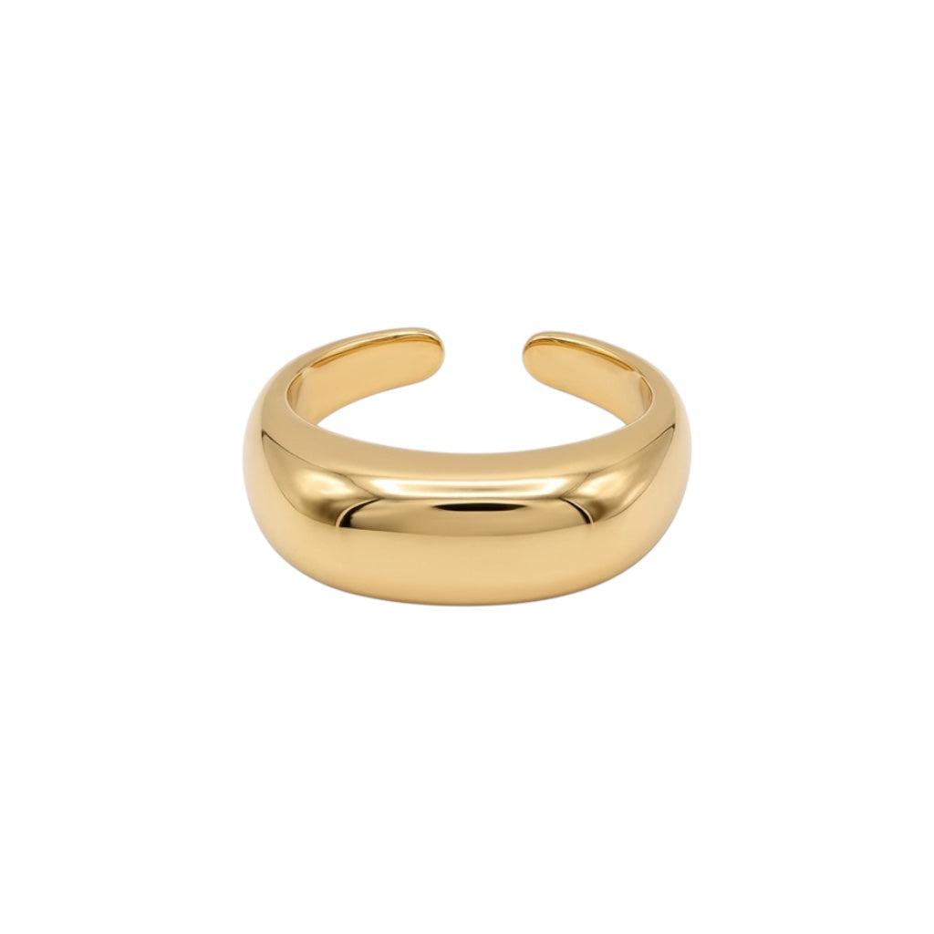 Anillo midi