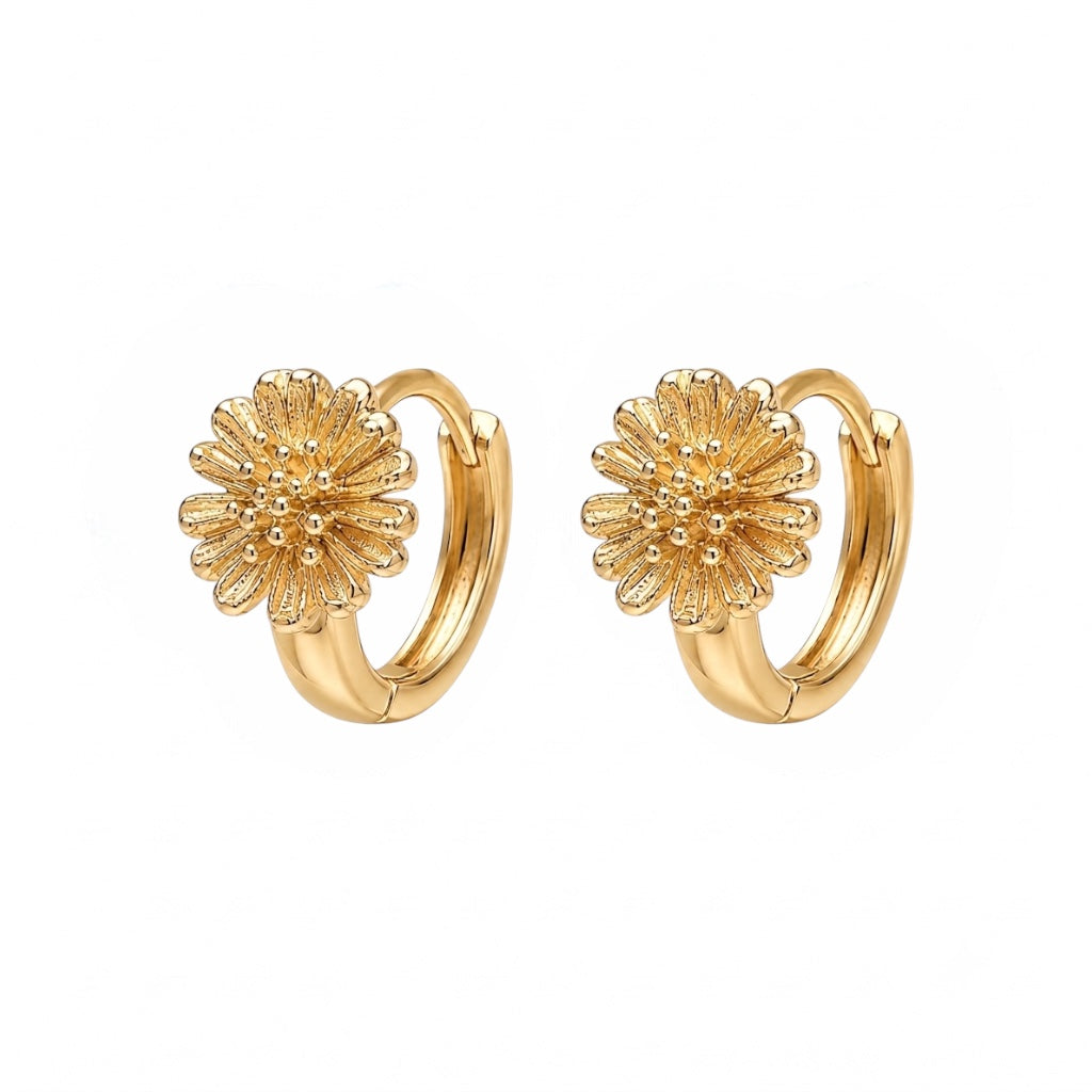 Aros Florcita